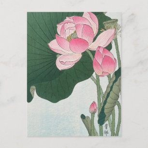 Blooming Lotus Flowers Painting by Ohara Koson Vykort