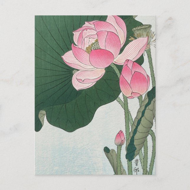 Blooming Lotus Flowers Painting by Ohara Koson Vykort (Framsida)