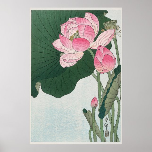 Blooming Lotus Poster (Framsidan)