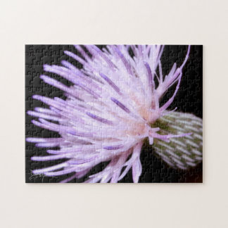 Blooming Nuttall Thistle Pussel