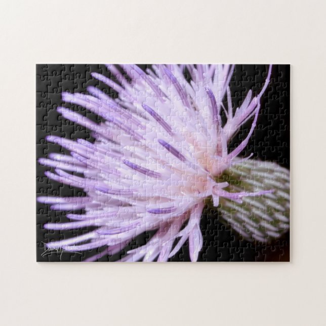 Blooming Nuttall Thistle Pussel (Horisontell)