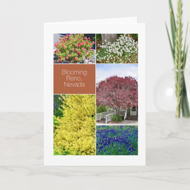 Blooming Reno, Nevada, blomfotografier Kort (Framsida)