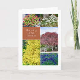 Blooming Reno, Nevada, blomfotografier Kort