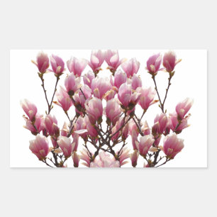 Blooming Rosa Magnolias Vår Flower Rektangulärt Klistermärke