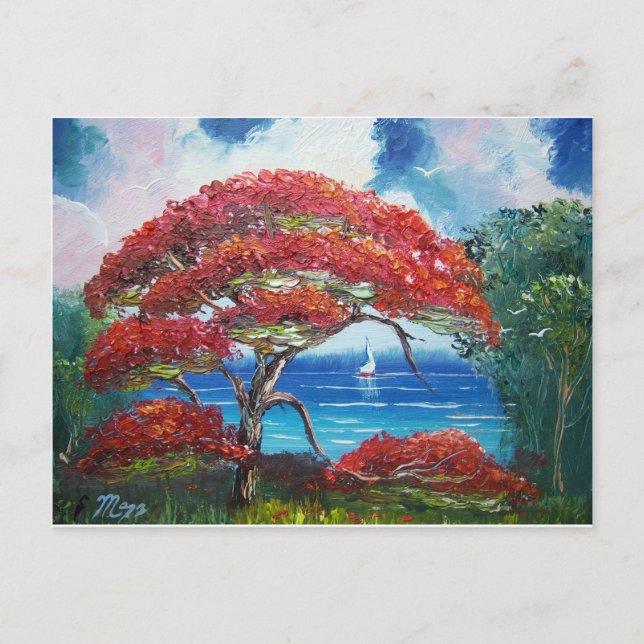 Blooming Royal Poinciana Träd och segelbåt Vykort (Framsida)