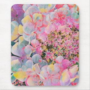 Blooming Summer Hydrangea Flower Musmatta