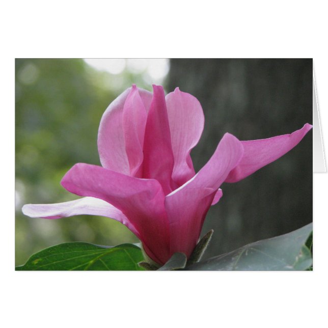 Blooming Träd Hälsningskort (Framsidan Horizontal)