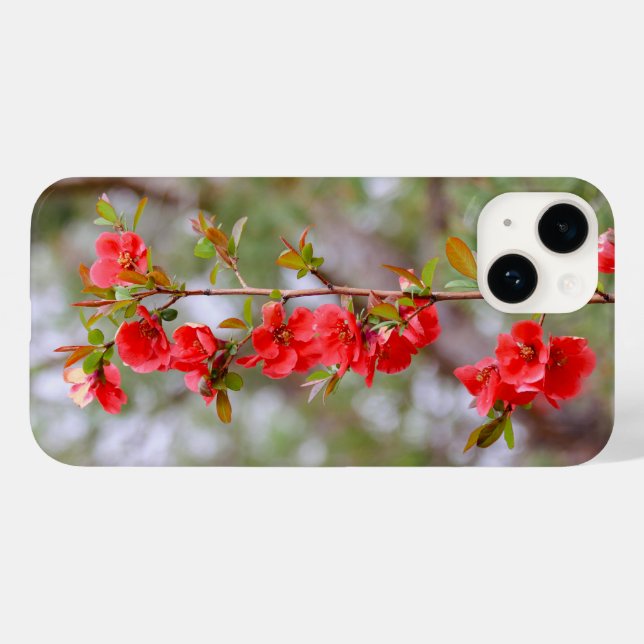 Blooming Vår (Baksida (horisontell))