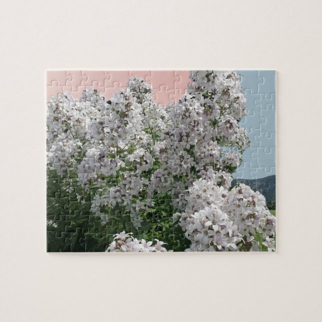 Blooming White Flowers Jigszle Puzzle Pussel (Horisontell)