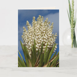 Blooming Yucca, Flowers, Southwest Blank Hälsning Kort