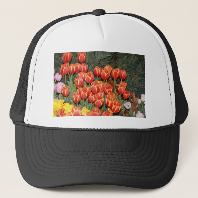 Bloomin'Tulips! Keps (Framsida)