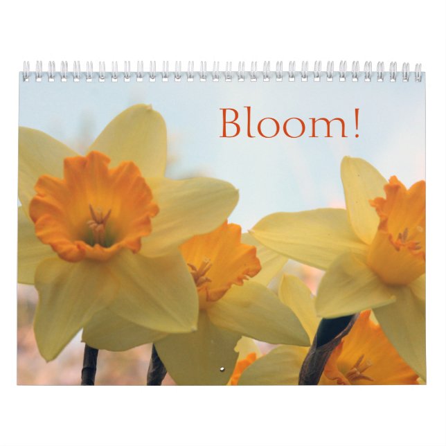 Blooms Kalender (Omslag)