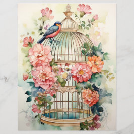 Blooms och Butterflies Abound Scrapbook Papper