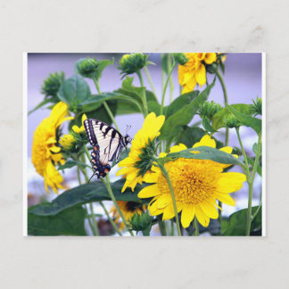 Blooms och Butterflies - Svälj Svan Vykort