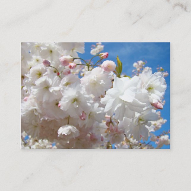 Blossom Blommor Vår Utnämning Kort Påminnelser (Framsida)