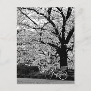 Blossom & Cykel: Japan Vykort