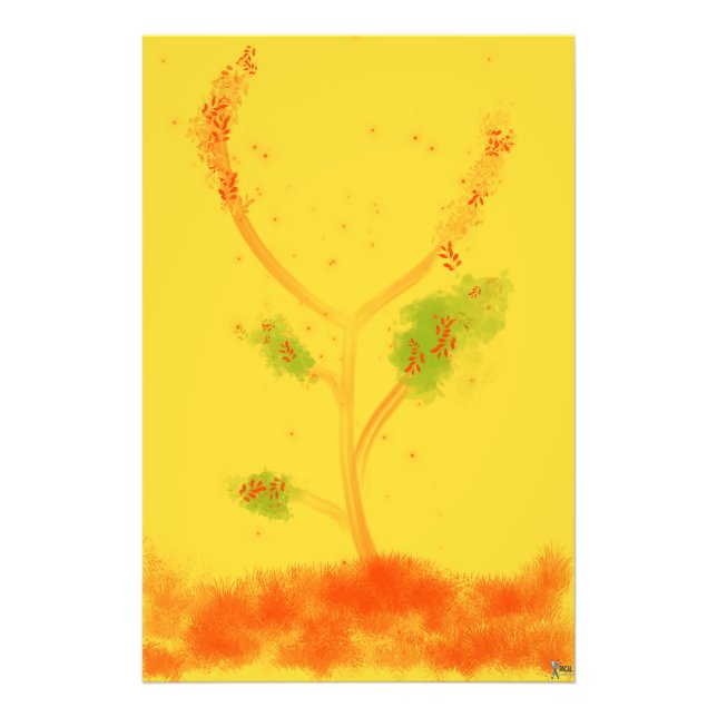 BLOSSOM FOTOTRYCK (Framsidan)