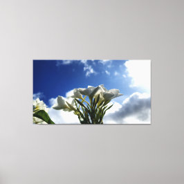 Blossomerande plumeria mot ett strålande Himmel Canvastryck