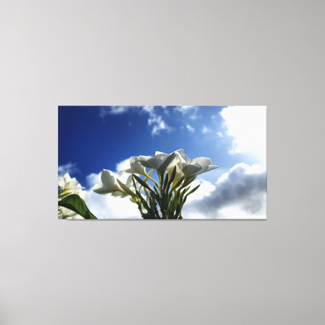 Blossomerande plumeria mot ett strålande Himmel Canvastryck (Framsida)