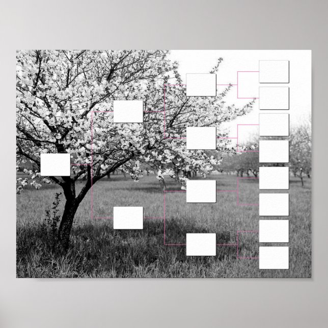 Blossomfamiljen Träd: 4 Generation-väggdiagram Poster (Framsidan)