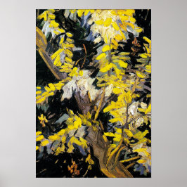 Blossoming Acacia Grenar (1890) Van Gogh Art Poster