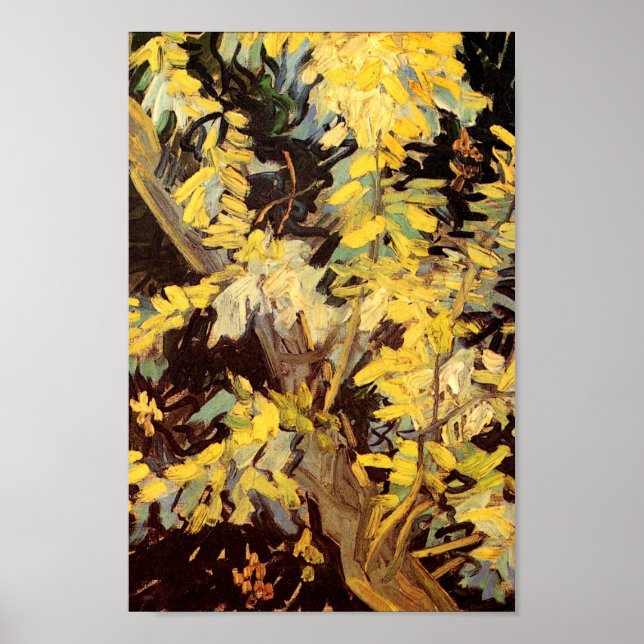 Blossoming Acacia Grenar Van Gogh Fine Art Poster (Framsidan)