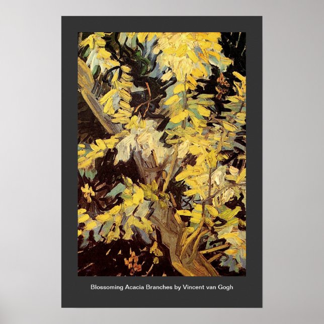 Blossoming Acacia Grenar Vincent van Gogh Poster (Framsidan)