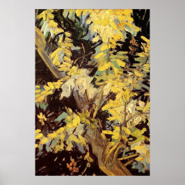 Blossoming Acacia Grenar Vincent van Gogh Poster