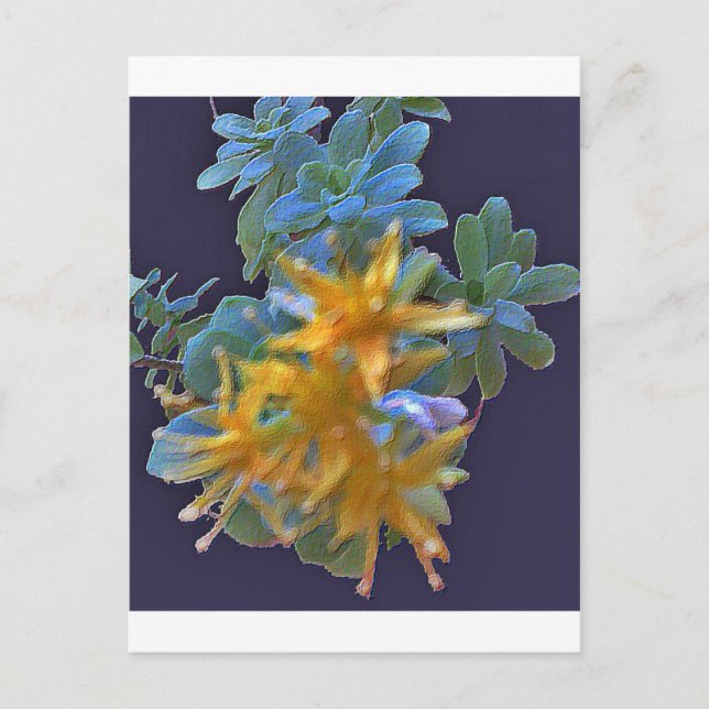 Blossoming Aeonium Vykort (Framsida)