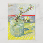 Blossoming Almond Gren av Vincent van Gogh Vykort<br><div class="desc">Blossoming Almond Gren i ett glas av Vincent van Gogh är en vintage bra art post impressionism fortfarande livlig blommigt som målar upp vår mandel träd grenar i ett glas vas. Om artisten: Vincent Willem van Gogh (1853-1890) var en av de mest berömd Post impressionist-målarna under sin tid. Hans arbete...</div>