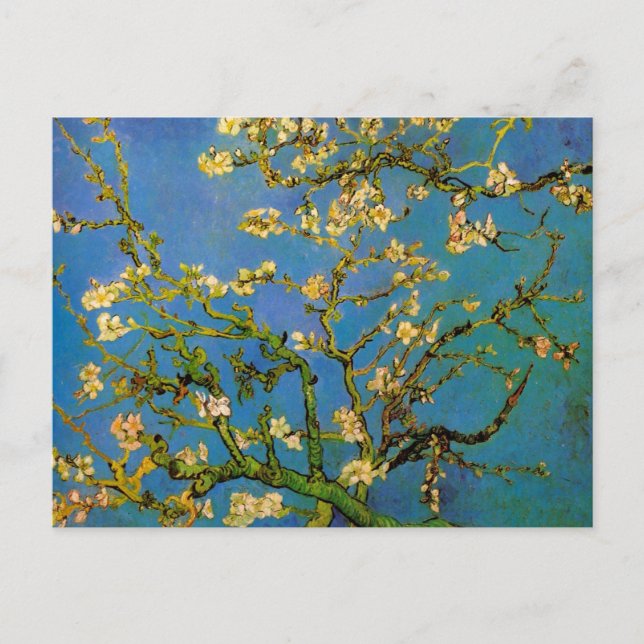 Blossoming Almond Träd av Vincent van Gogh Vykort (Framsida)