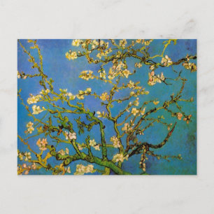Blossoming Almond Träd av Vincent van Gogh Vykort