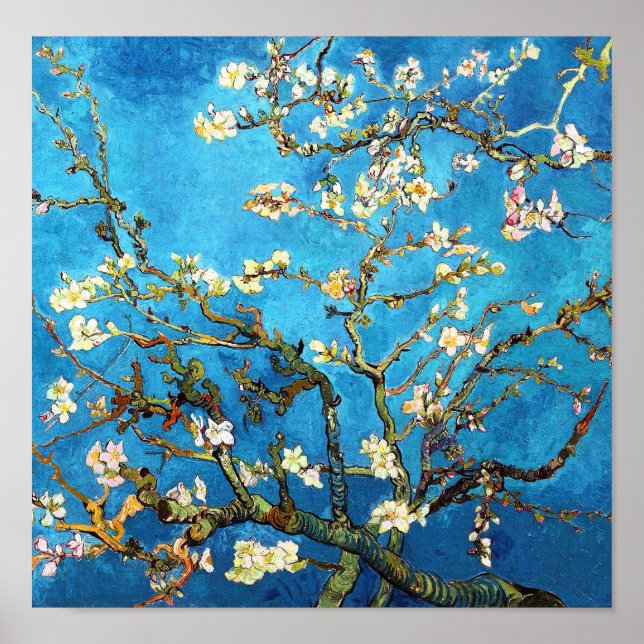 Blossoming Almond Träd Van Gogh Fine Art Poster (Framsidan)