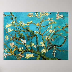 Blossoming Almond Träd Van Gogh Fine Art Poster