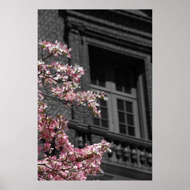 Blossoming Balcony Poster (Framsidan)