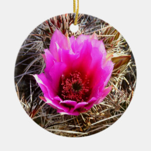 Blossoming Cactus (Prickly Pear) Wildblomma Julgransprydnad Keramik