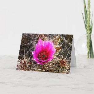 Blossoming Cactus (Prickly Pear) Wildblomma Kort