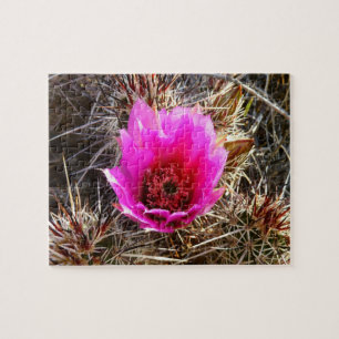 Blossoming Cactus (Prickly Pear) Wildblomma Pussel