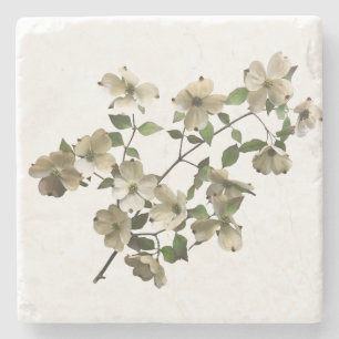 Blossoming Dogwood Flowers på Gren Stenunderlägg