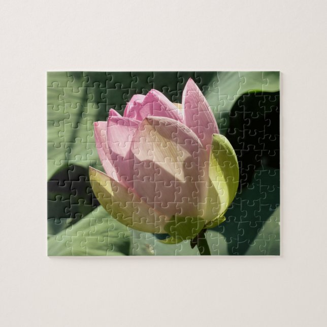 Blossoming Rosa Lotus Flower Summer Pussel (Horisontell)