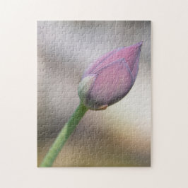 "Blossoming Solitude" A single Pink Lilly Pussel