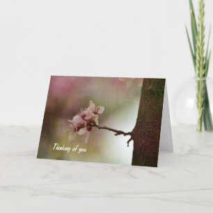 Blossoming Träd Kort