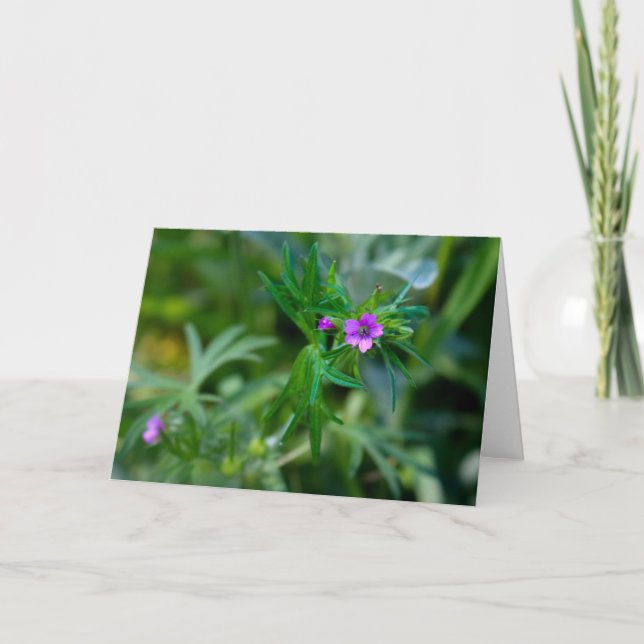 Blossoming Violet Musk Mallow Greeting Card Tack Kort (Framsida)