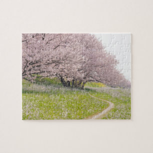 Blossoming Yoshino cherry träd i fält i Pussel