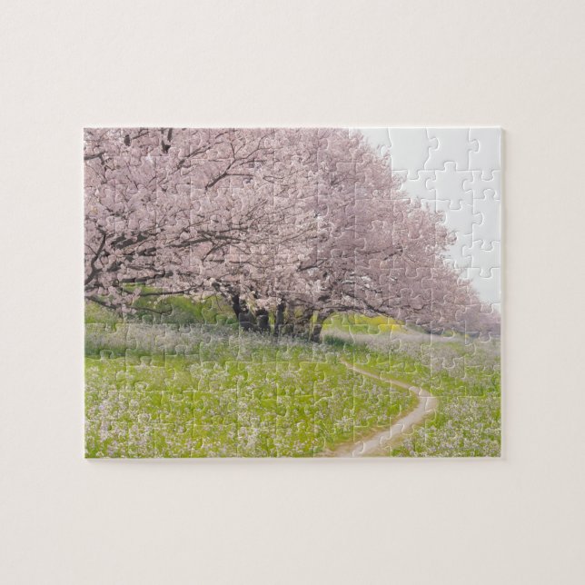 Blossoming Yoshino cherry träd i fält i Pussel (Horisontell)