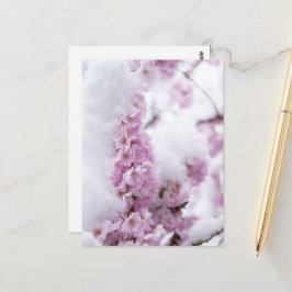Blossoms vykort