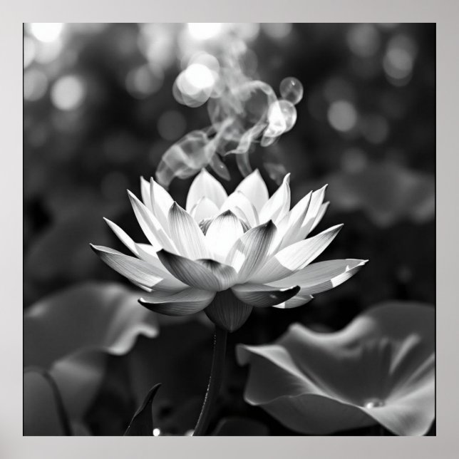 BlossomTranquilitet: Lotus Charcol Art Poster (Framsidan)