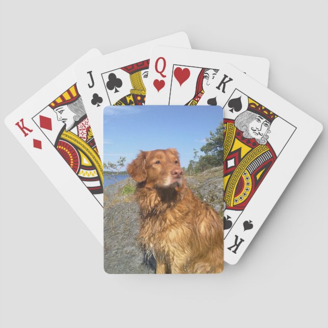 blöt casinokort (Baksidan)