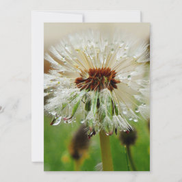 Blöt Dandelion Julkort