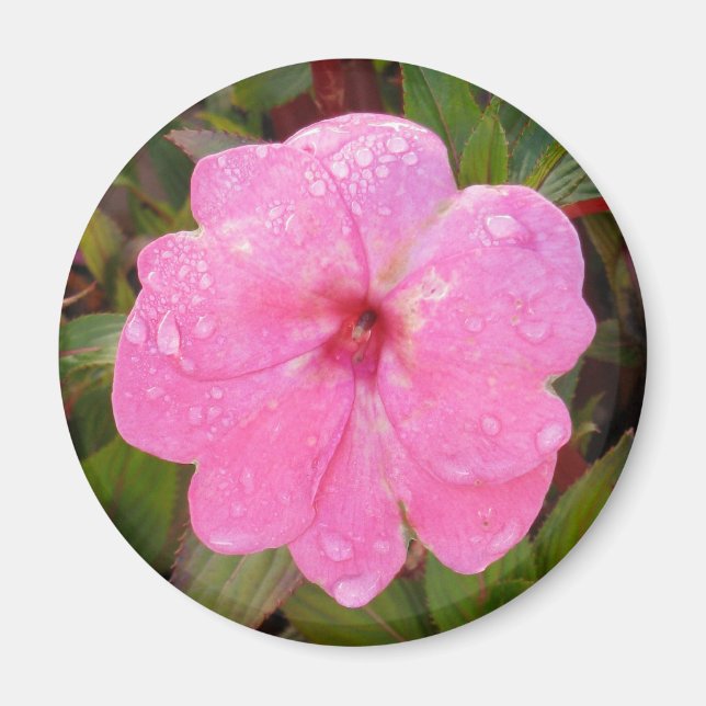 Blöt Flower-magnet Magnet (Framsidan)